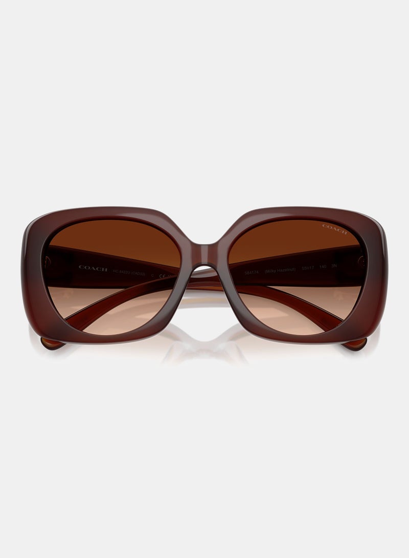 كوتش نظارة شمسية بإطار كامل مربع 8422U, 55, 5841, 74 - Image 4